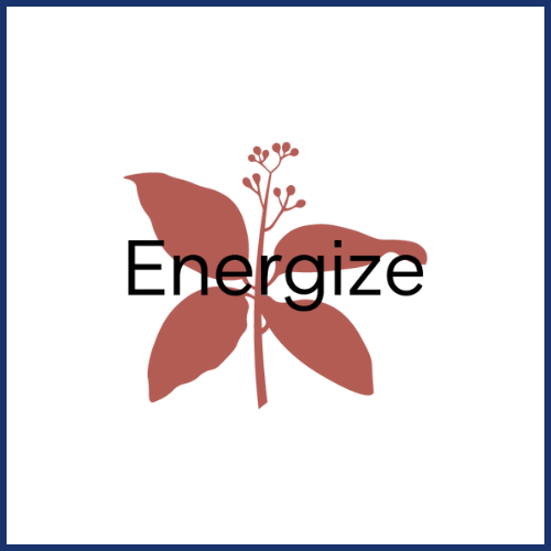geneo energize